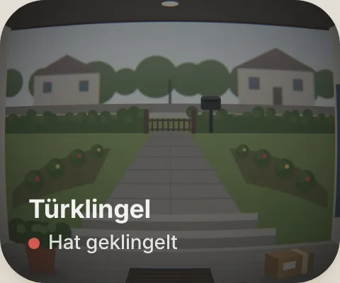 The doorbell tile with the live picture.